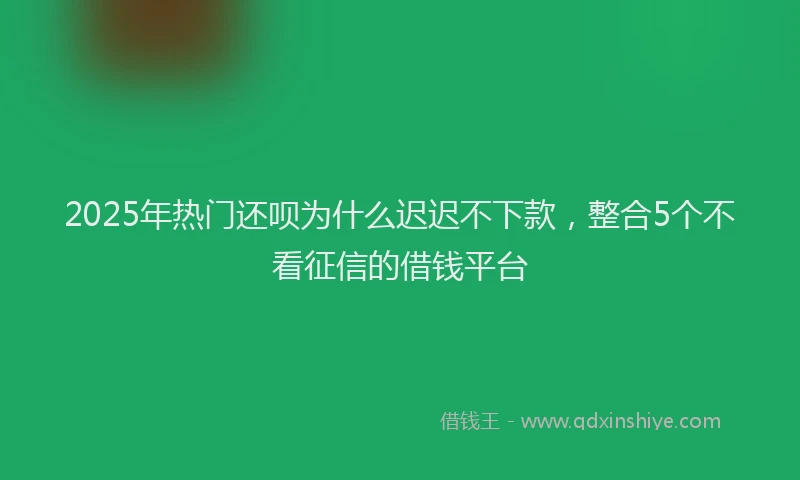 2025年热门还呗为什么迟迟不下款，整合5个不看征信的借钱平台