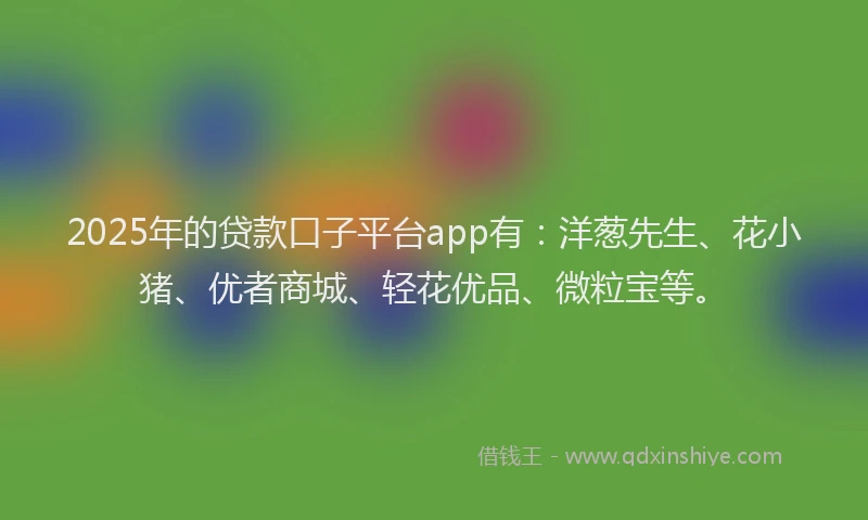 2025年的贷款口子平台app有：洋葱先生、花小猪、优者商城、轻花优品、微粒宝等。