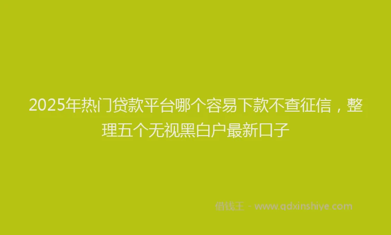 2025年热门贷款平台哪个容易下款不查征信，整理五个无视黑白户最新口子