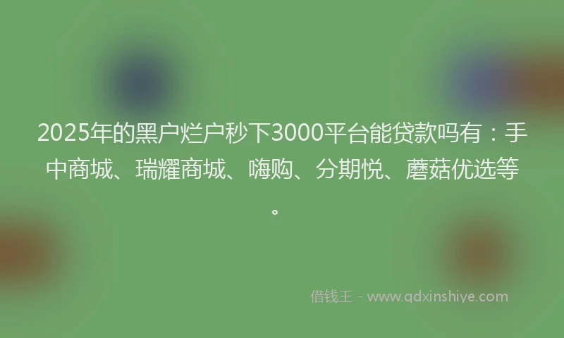 2025年的黑户烂户秒下3000平台能贷款吗有：手中商城、瑞耀商城、嗨购、分期悦、蘑菇优选等。