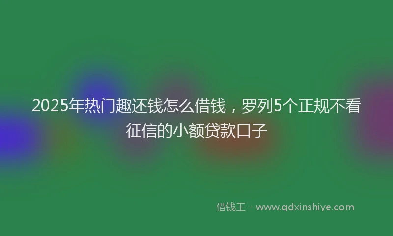 2025年热门趣还钱怎么借钱，罗列5个正规不看征信的小额贷款口子