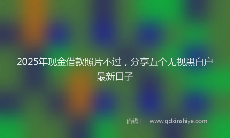 2025年现金借款照片不过，分享五个无视黑白户最新口子