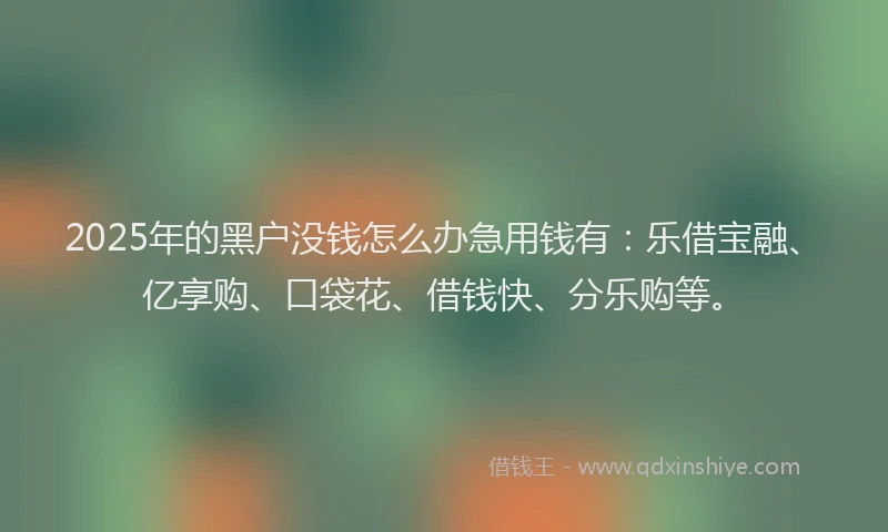 2025年的黑户没钱怎么办急用钱有：乐借宝融、亿享购、口袋花、借钱快、分乐购等。