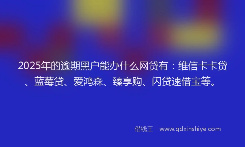 2025年的逾期黑户能办什么网贷有：维信卡卡贷、蓝莓贷、爱鸿森、臻享购、闪贷速借宝等。