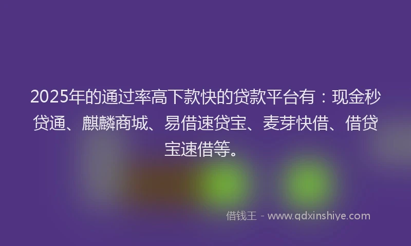 2025年的通过率高下款快的贷款平台有：现金秒贷通、麒麟商城、易借速贷宝、麦芽快借、借贷宝速借等。