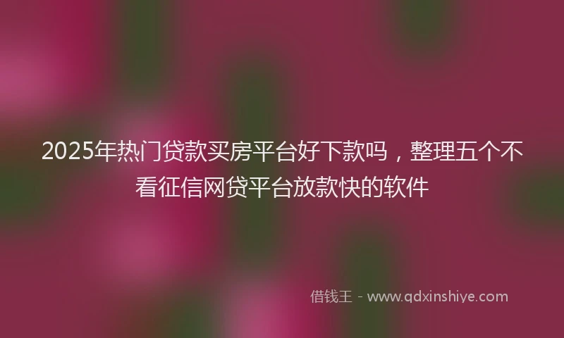 2025年热门贷款买房平台好下款吗，整理五个不看征信网贷平台放款快的软件