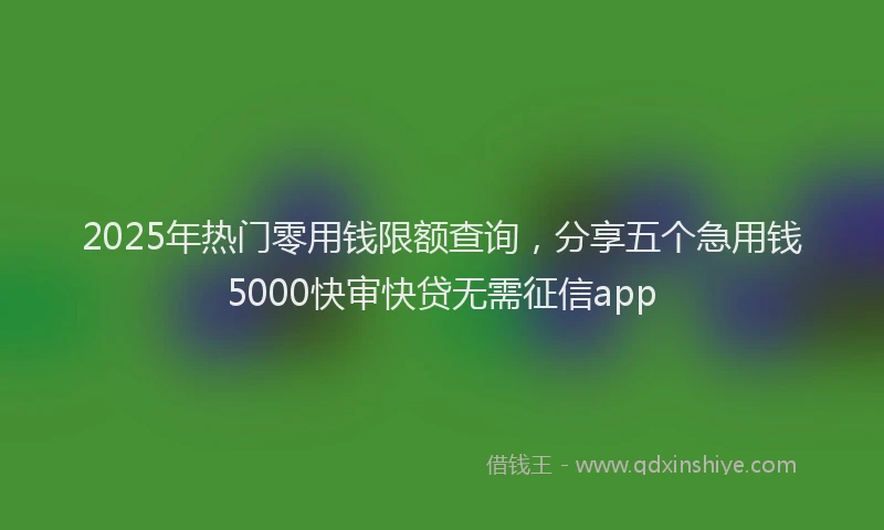 2025年热门零用钱限额查询，分享五个急用钱5000快审快贷无需征信app