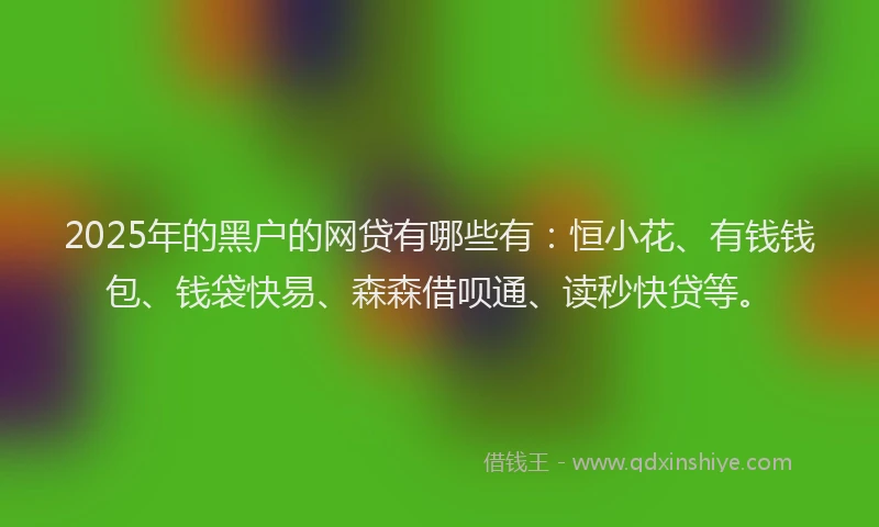 2025年的黑户的网贷有哪些有：恒小花、有钱钱包、钱袋快易、森森借呗通、读秒快贷等。