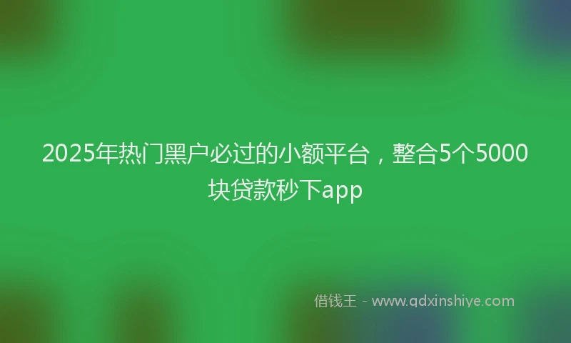 2025年热门黑户必过的小额平台，整合5个5000块贷款秒下app