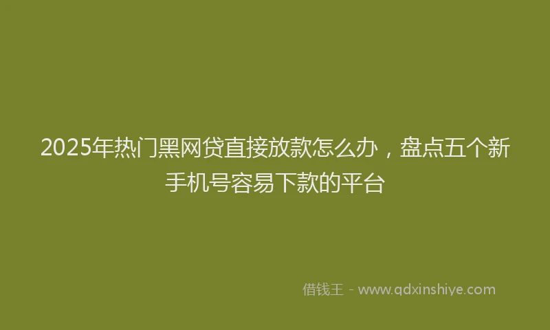 2025年热门黑网贷直接放款怎么办，盘点五个新手机号容易下款的平台