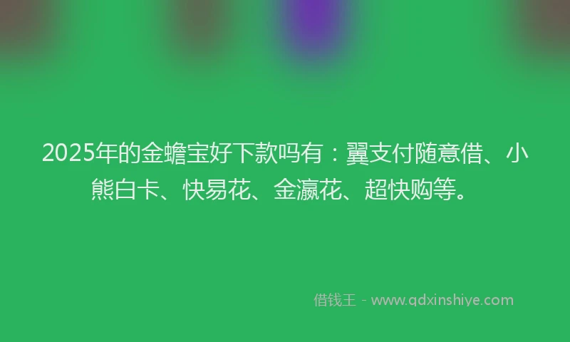2025年的金蟾宝好下款吗有：翼支付随意借、小熊白卡、快易花、金瀛花、超快购等。