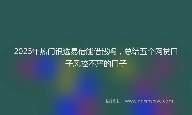 2025年热门银选易借能借钱吗，总结五个网贷口子风控不严的口子