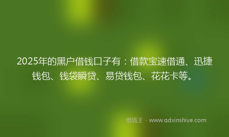 2025年的黑户借钱口子有：借款宝速借通、迅捷钱包、钱袋瞬贷、易贷钱包、花花卡等。