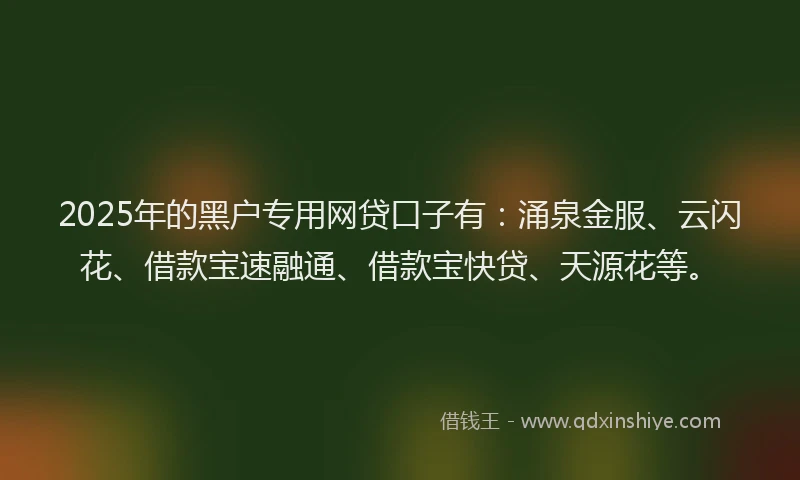 2025年的黑户专用网贷口子有：涌泉金服、云闪花、借款宝速融通、借款宝快贷、天源花等。
