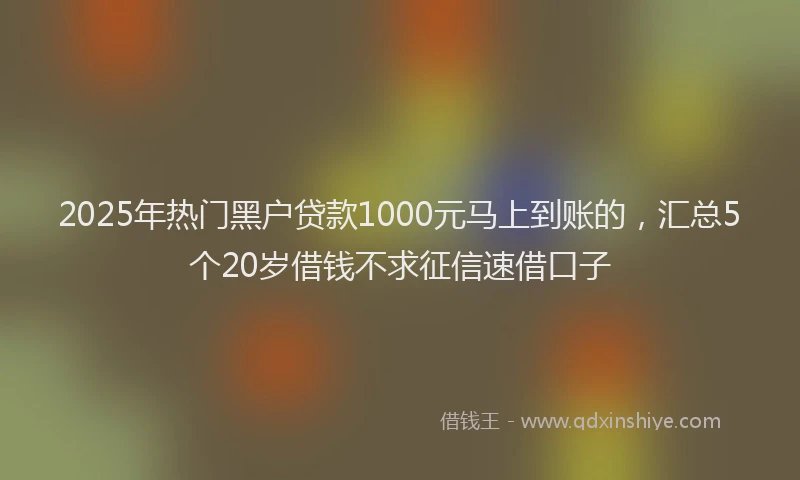 2025年热门黑户贷款1000元马上到账的，汇总5个20岁借钱不求征信速借口子