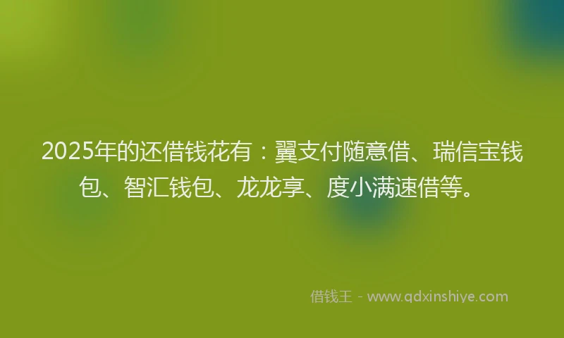 2025年的还借钱花有：翼支付随意借、瑞信宝钱包、智汇钱包、龙龙享、度小满速借等。