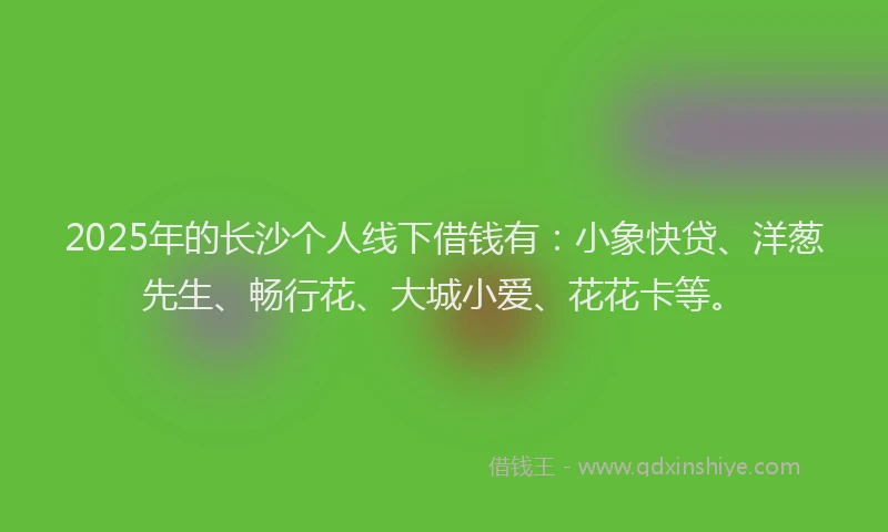 2025年的长沙个人线下借钱有：小象快贷、洋葱先生、畅行花、大城小爱、花花卡等。