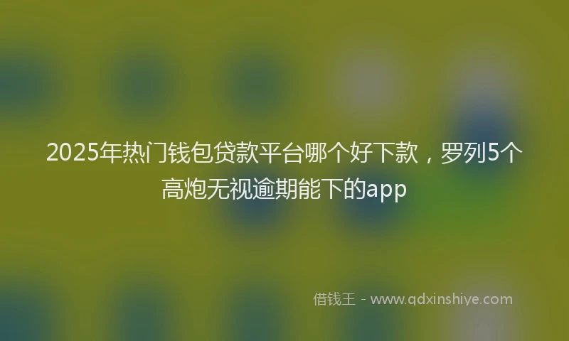 2025年热门钱包贷款平台哪个好下款，罗列5个高炮无视逾期能下的app