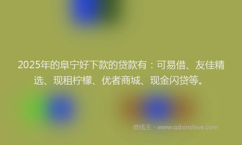 2025年的阜宁好下款的贷款有：可易借、友佳精选、现租柠檬、优者商城、现金闪贷等。