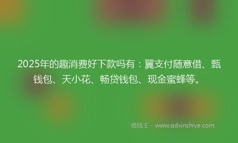 2025年的趣消费好下款吗有：翼支付随意借、甄钱包、天小花、畅贷钱包、现金蜜蜂等。