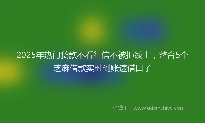 2025年热门贷款不看征信不被拒线上，整合5个芝麻借款实时到账速借口子