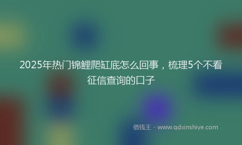 2025年热门锦鲤爬缸底怎么回事，梳理5个不看征信查询的口子