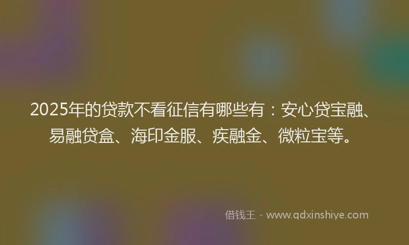 2025年的贷款不看征信有哪些有：安心贷宝融、易融贷盒、海印金服、疾融金、微粒宝等。