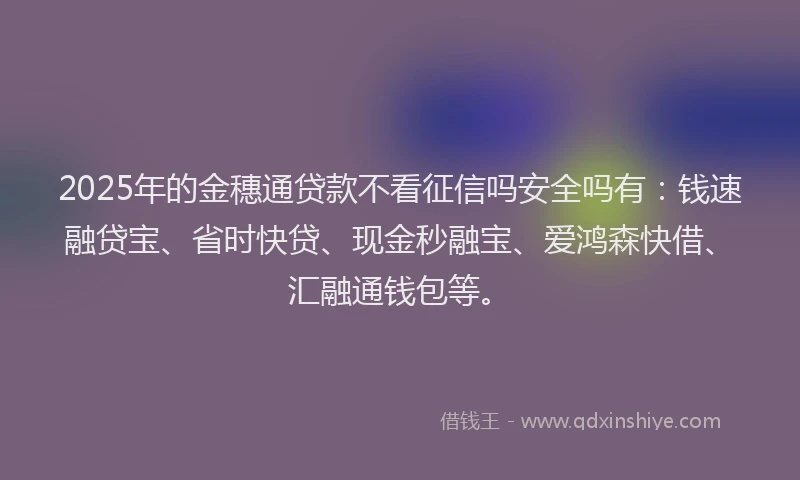 2025年的金穗通贷款不看征信吗安全吗有：钱速融贷宝、省时快贷、现金秒融宝、爱鸿森快借、汇融通钱包等。