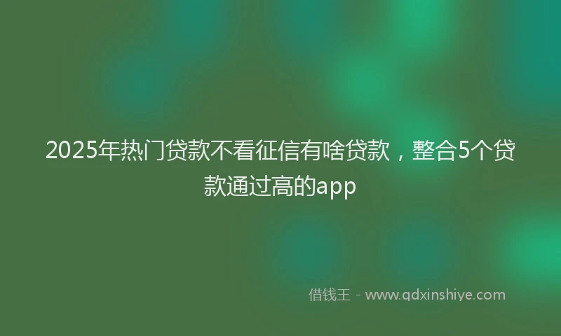 2025年热门贷款不看征信有啥贷款，整合5个贷款通过高的app