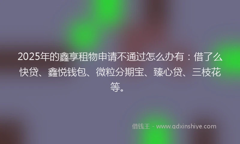 2025年的鑫享租物申请不通过怎么办有：借了么快贷、鑫悦钱包、微粒分期宝、臻心贷、三枝花等。