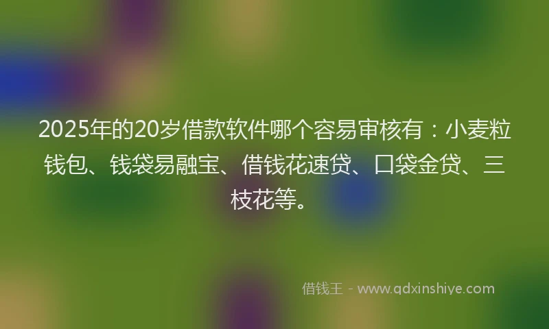 2025年的20岁借款软件哪个容易审核有：小麦粒钱包、钱袋易融宝、借钱花速贷、口袋金贷、三枝花等。