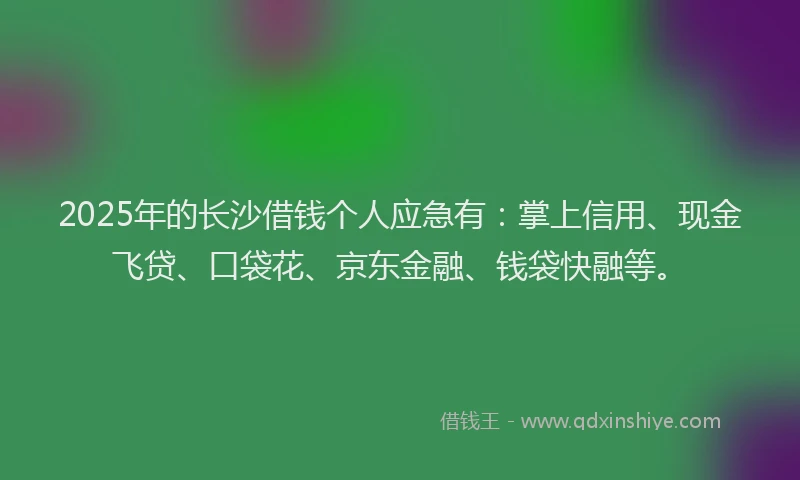 2025年的长沙借钱个人应急有：掌上信用、现金飞贷、口袋花、京东金融、钱袋快融等。