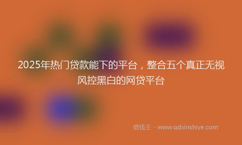 2025年热门贷款能下的平台，整合五个真正无视风控黑白的网贷平台