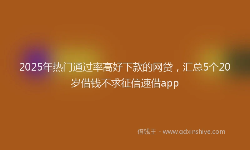 2025年热门通过率高好下款的网贷，汇总5个20岁借钱不求征信速借app