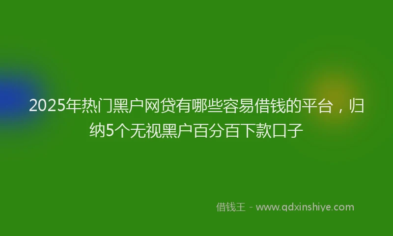 2025年热门黑户网贷有哪些容易借钱的平台，归纳5个无视黑户百分百下款口子