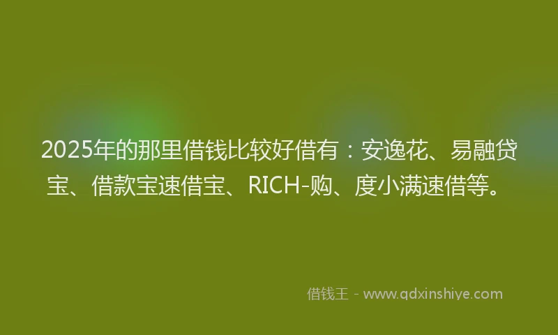 2025年的那里借钱比较好借有：安逸花、易融贷宝、借款宝速借宝、RICH-购、度小满速借等。