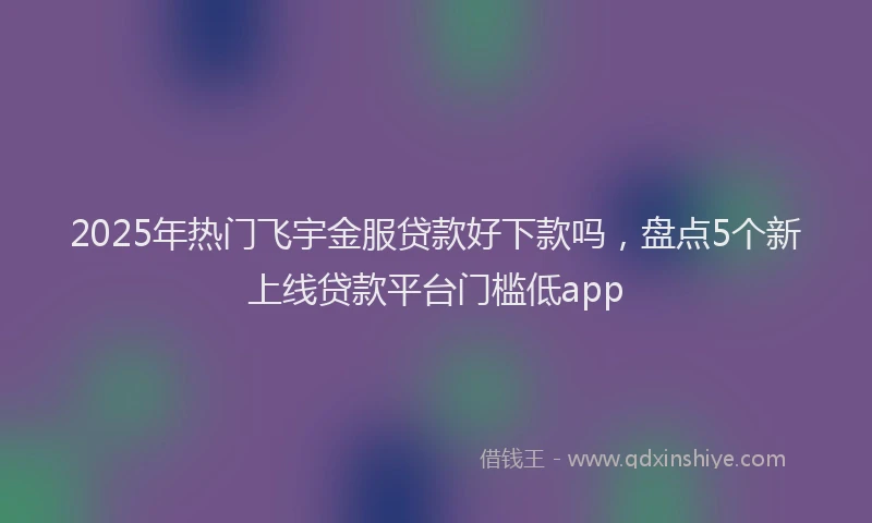 2025年热门飞宇金服贷款好下款吗，盘点5个新上线贷款平台门槛低app