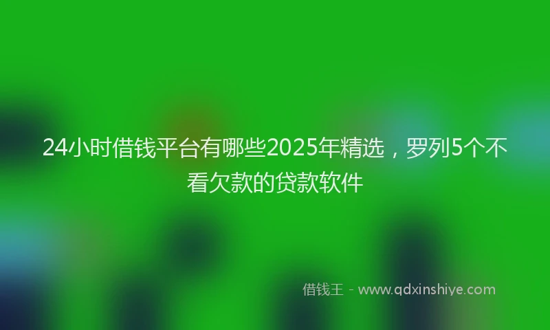 24小时借钱平台有哪些2025年精选，罗列5个不看欠款的贷款软件