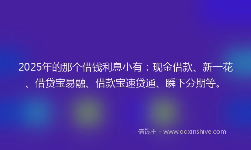 2025年的那个借钱利息小有：现金借款、新一花、借贷宝易融、借款宝速贷通、瞬下分期等。