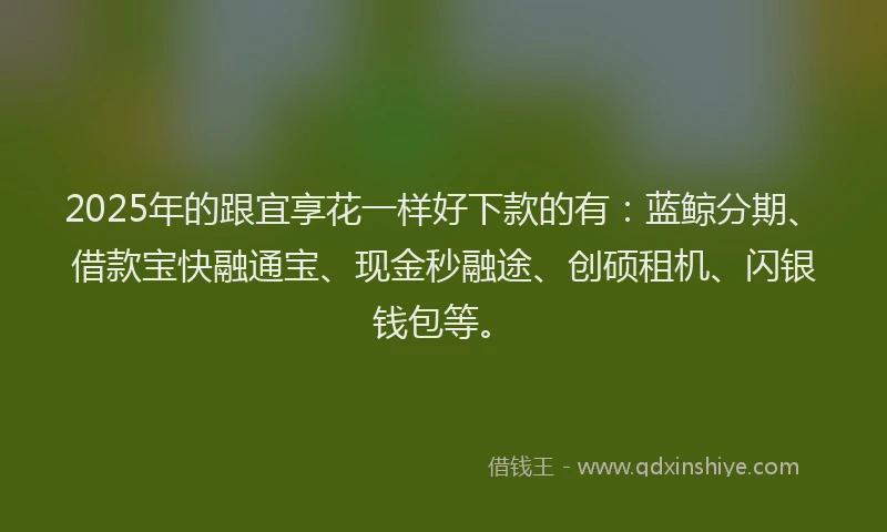 2025年的跟宜享花一样好下款的有：蓝鲸分期、借款宝快融通宝、现金秒融途、创硕租机、闪银钱包等。
