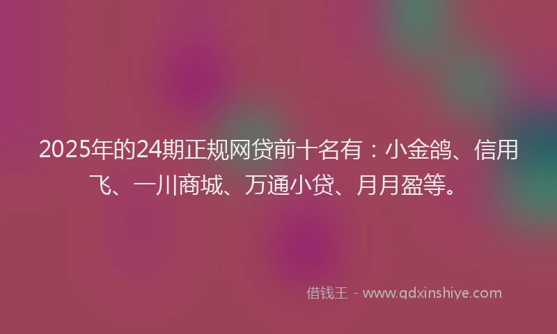 2025年的24期正规网贷前十名有：小金鸽、信用飞、一川商城、万通小贷、月月盈等。