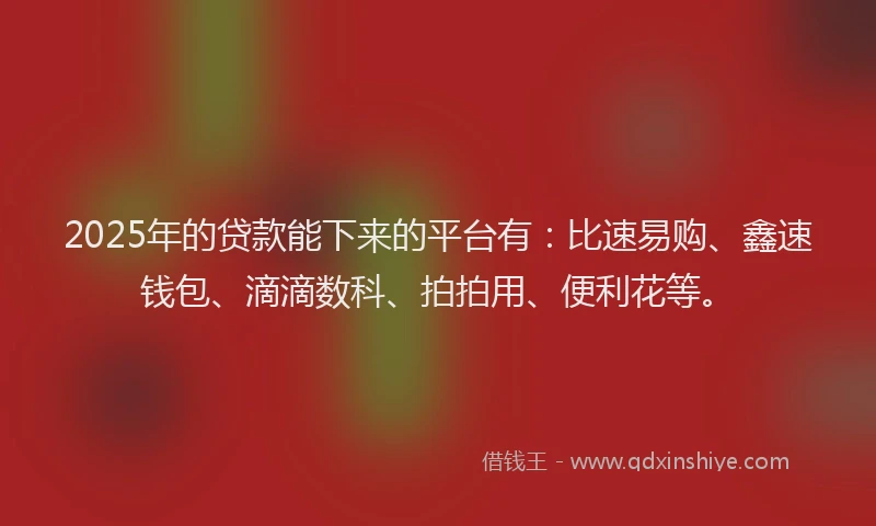 2025年的贷款能下来的平台有：比速易购、鑫速钱包、滴滴数科、拍拍用、便利花等。