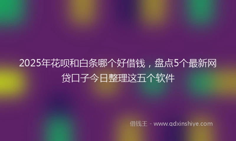 2025年花呗和白条哪个好借钱，盘点5个最新网贷口子今日整理这五个软件