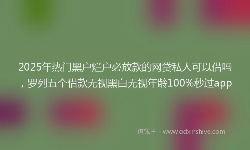 2025年热门黑户烂户必放款的网贷私人可以借吗，罗列五个借款无视黑白无视年龄100%秒过app