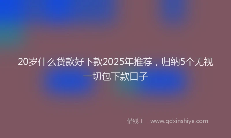 20岁什么贷款好下款2025年推荐，归纳5个无视一切包下款口子