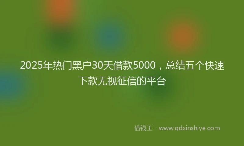 2025年热门黑户30天借款5000，总结五个快速下款无视征信的平台