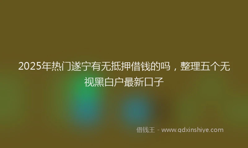 2025年热门遂宁有无抵押借钱的吗，整理五个无视黑白户最新口子
