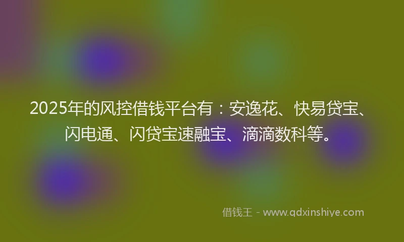 2025年的风控借钱平台有：安逸花、快易贷宝、闪电通、闪贷宝速融宝、滴滴数科等。