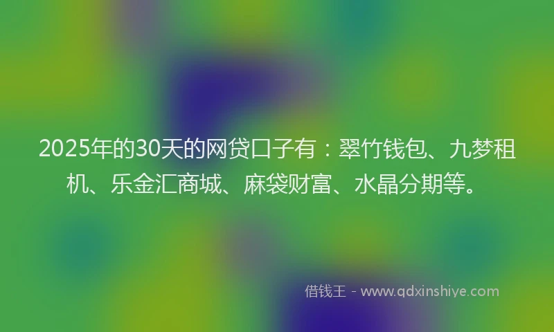 2025年的30天的网贷口子有：翠竹钱包、九梦租机、乐金汇商城、麻袋财富、水晶分期等。
