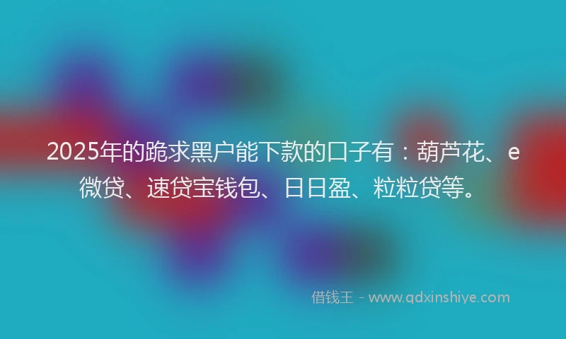 2025年的跪求黑户能下款的口子有：葫芦花、e微贷、速贷宝钱包、日日盈、粒粒贷等。
